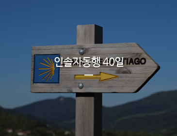 인솔자동행 39일