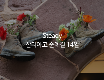 Steady 산티아…