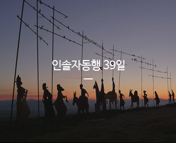 인솔자동행 39일